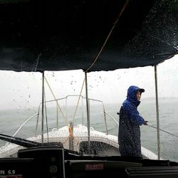 タイラバ遊漁船 ワンピース 釣果