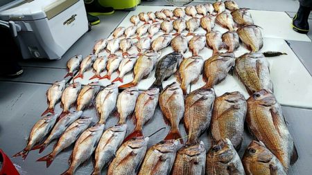 タイラバ遊漁船 ワンピース 釣果