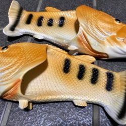 末広丸(熊本) 釣果