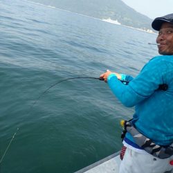 タイラバ遊漁船 ワンピース 釣果