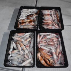 渡船屋たにぐち 釣果