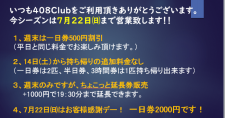 408Club 釣果