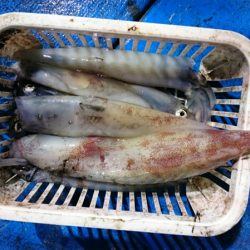 海龍丸（石川） 釣果