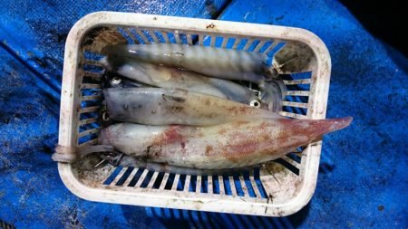 海龍丸（石川） 釣果