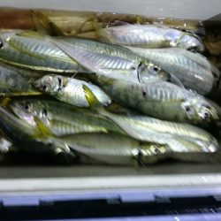 海龍丸（石川） 釣果