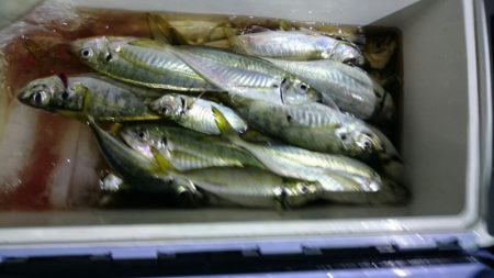 海龍丸（石川） 釣果