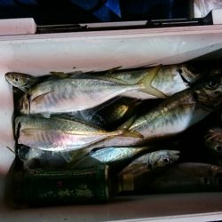 海龍丸（石川） 釣果