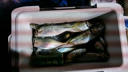 海龍丸（石川） 釣果