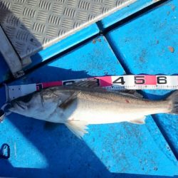 海龍丸（石川） 釣果