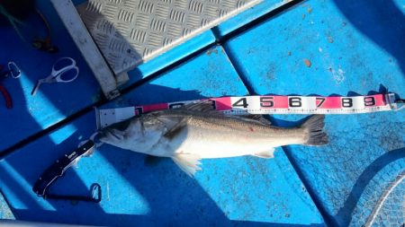 海龍丸（石川） 釣果