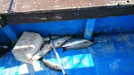 海龍丸（石川） 釣果