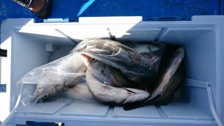 海龍丸（石川） 釣果