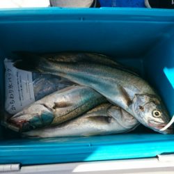 海龍丸（石川） 釣果