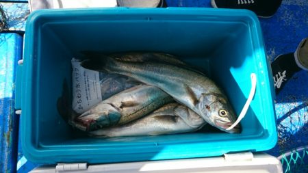 海龍丸（石川） 釣果