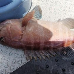 第二龍勢丸 釣果