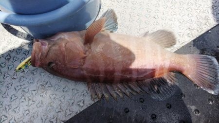 第二龍勢丸 釣果