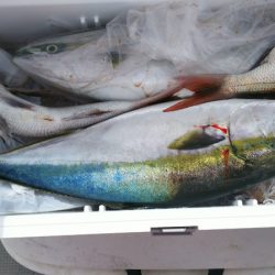 ブルドック 釣果