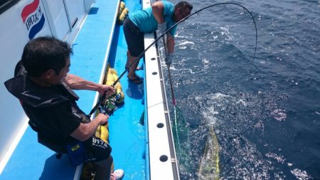 第三共栄丸 釣果