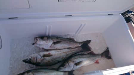 海龍丸（石川） 釣果