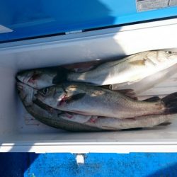 海龍丸（石川） 釣果