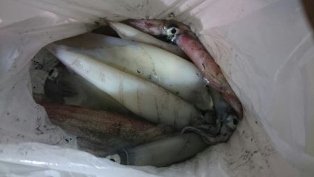 海龍丸（石川） 釣果