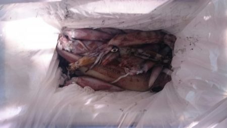 海龍丸（石川） 釣果