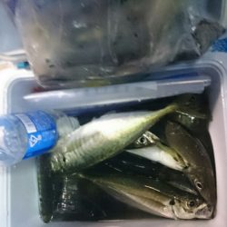 海龍丸（石川） 釣果
