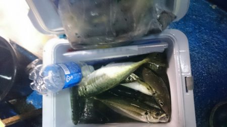海龍丸（石川） 釣果