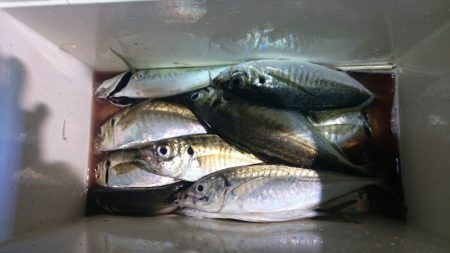 海龍丸（石川） 釣果