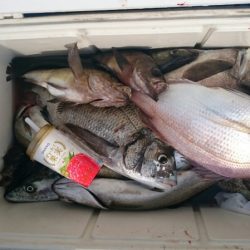 海龍丸（石川） 釣果