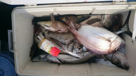 海龍丸（石川） 釣果