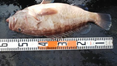 第二龍勢丸 釣果