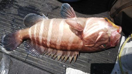 第二龍勢丸 釣果