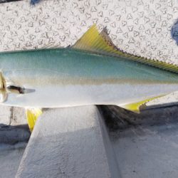 第二龍勢丸 釣果