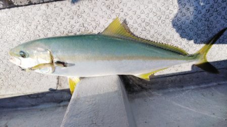 第二龍勢丸 釣果