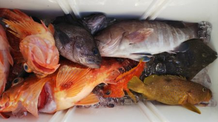 第二龍勢丸 釣果