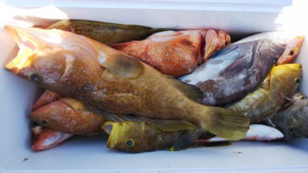 第二龍勢丸 釣果