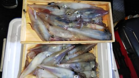 第二龍勢丸 釣果