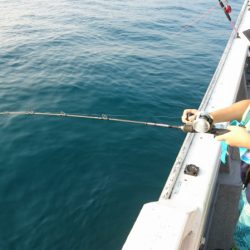 海皇丸 釣果