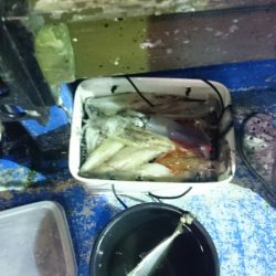 海龍丸（石川） 釣果