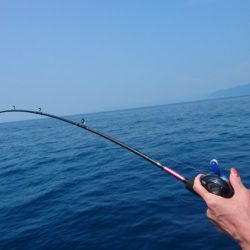 海皇丸 釣果