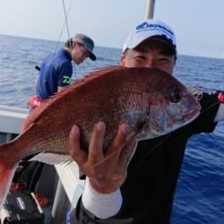 だて丸 釣果