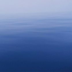 第二龍勢丸 釣果