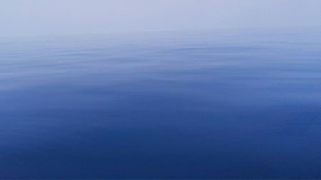 第二龍勢丸 釣果