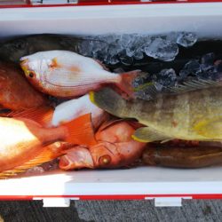 第二龍勢丸 釣果