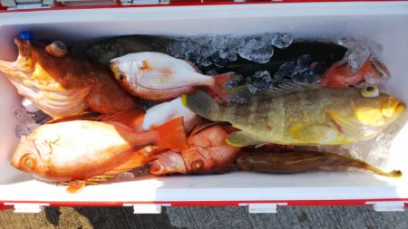 第二龍勢丸 釣果