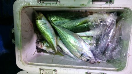 海龍丸(石川) 釣果