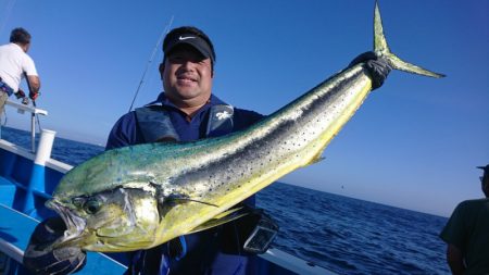 第三共栄丸 釣果