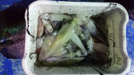 海龍丸（石川） 釣果