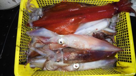 第二龍勢丸 釣果